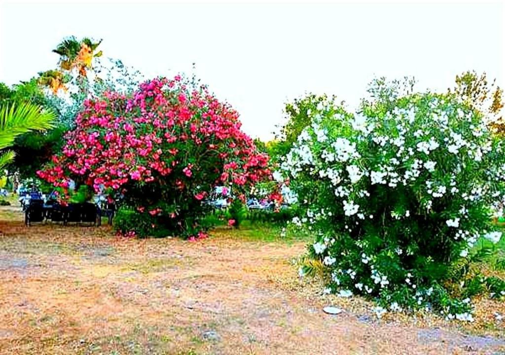 Aslihan Motel Anamur Exterior photo